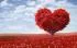 Недорогие подарки и скидки на День влюбленных: что подарить мужчине и девушке на 14 февраля